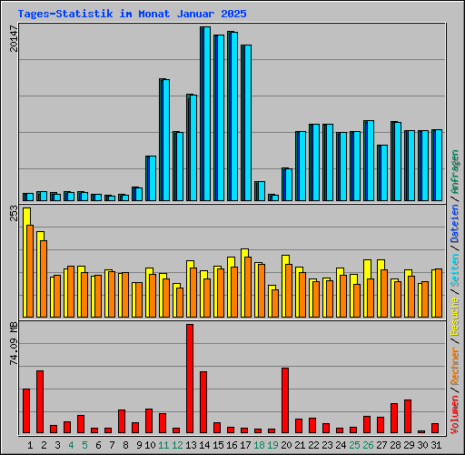 Tages-Statistik im Monat Januar 2025